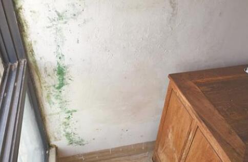 金屬屋面檐口滲水應該怎么解決?家用防水涂料這幾點一定要注意