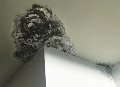 屋面漏水是由什么原因造成的?地震對(duì)于防水層的影響大么?